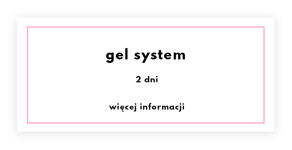 gel-system.png